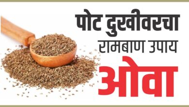 Photo of पोट दुखीवरचा रामबाण उपाय -ओवा