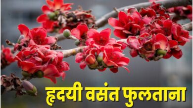 Photo of हृदयी वसंत फुलताना