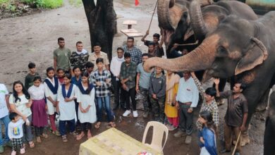 Photo of विद्यार्थ्यांना अनुभवले हत्तींचे जीवन